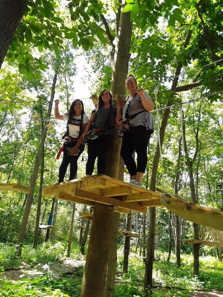 A team building exercise in a tree